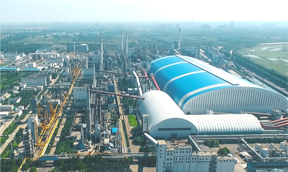 河北中煤bsports能源有限公司