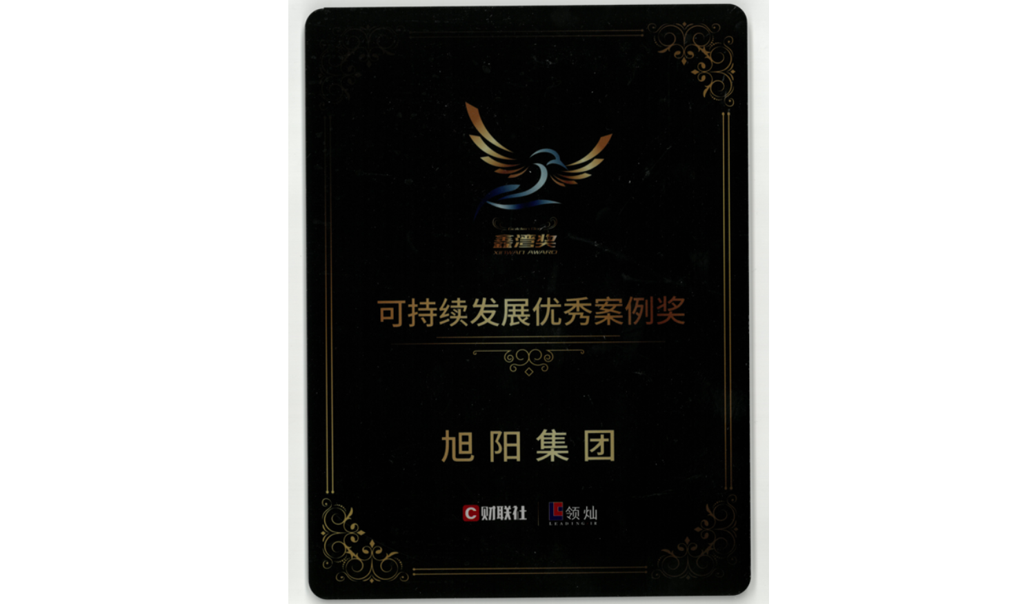 中国bsports集团荣膺“可持续发展优秀案例奖”及”最佳出海企业样本”