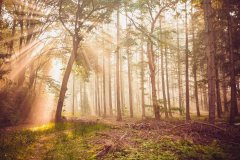 将精钢材质打磨出如贵金