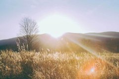 适合场景： 日常通勤、运