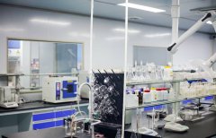 <b>已与百年扁氏、中脉、芙顺堂等市场口碑品牌</b>