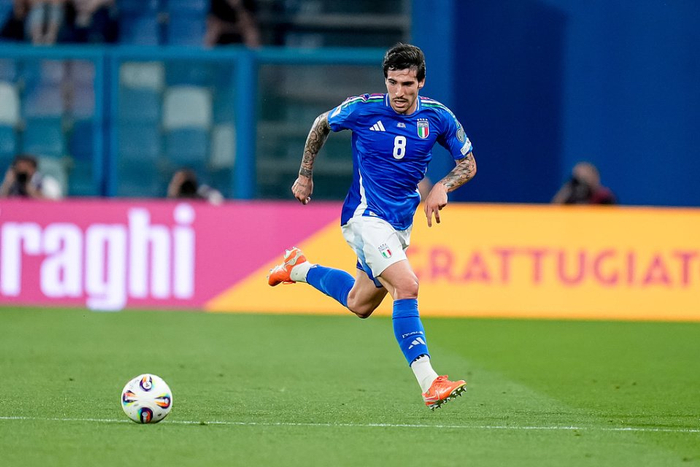 纽卡斯尔联队酝酿托纳利、戈登交易 吉马良斯或